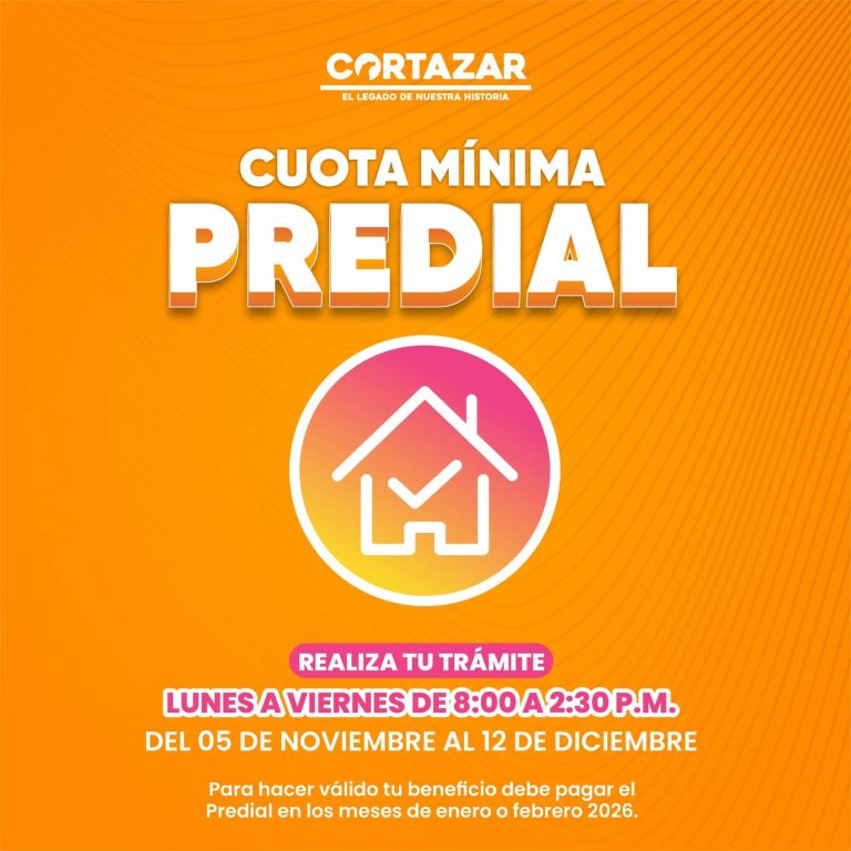 WhatsApp Image 2025-11-18 at 8.53.44 AM